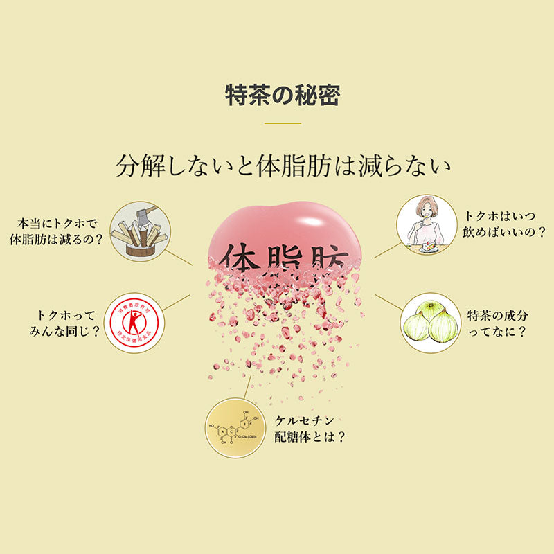 SUNTORY 特茶ジャスミン500mlペット 24本セット 【全国送料無料】サントリー ペットボトル 飲料 お茶 特定保健用食品 ジャスミン茶 体脂肪 トクホ 伊右衛門