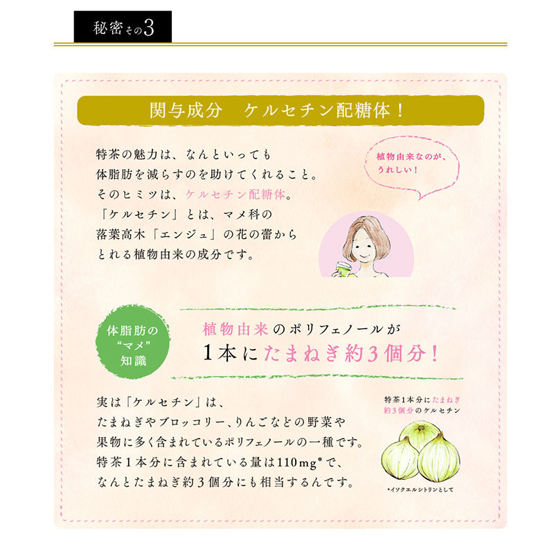 SUNTORY 特茶ジャスミン500mlペット 24本セット 【全国送料無料】サントリー ペットボトル 飲料 お茶 特定保健用食品 ジャスミン茶 体脂肪 トクホ 伊右衛門