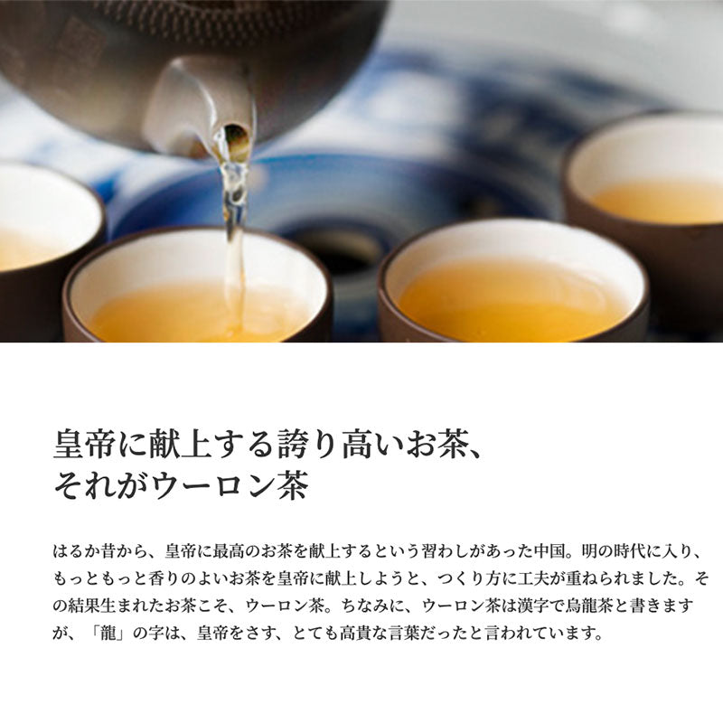 SUNTORY サントリー烏龍茶OTPP 525ml 機能性表示食品 24本セット 【全国送料無料】サントリー ペットボトル 飲料 お茶 体脂肪